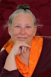 Domo Geshe Rinpoche 2014