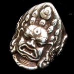 Protector Ring