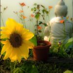 2017-09-21</br></br> Intro to Compassion in Troubled Times