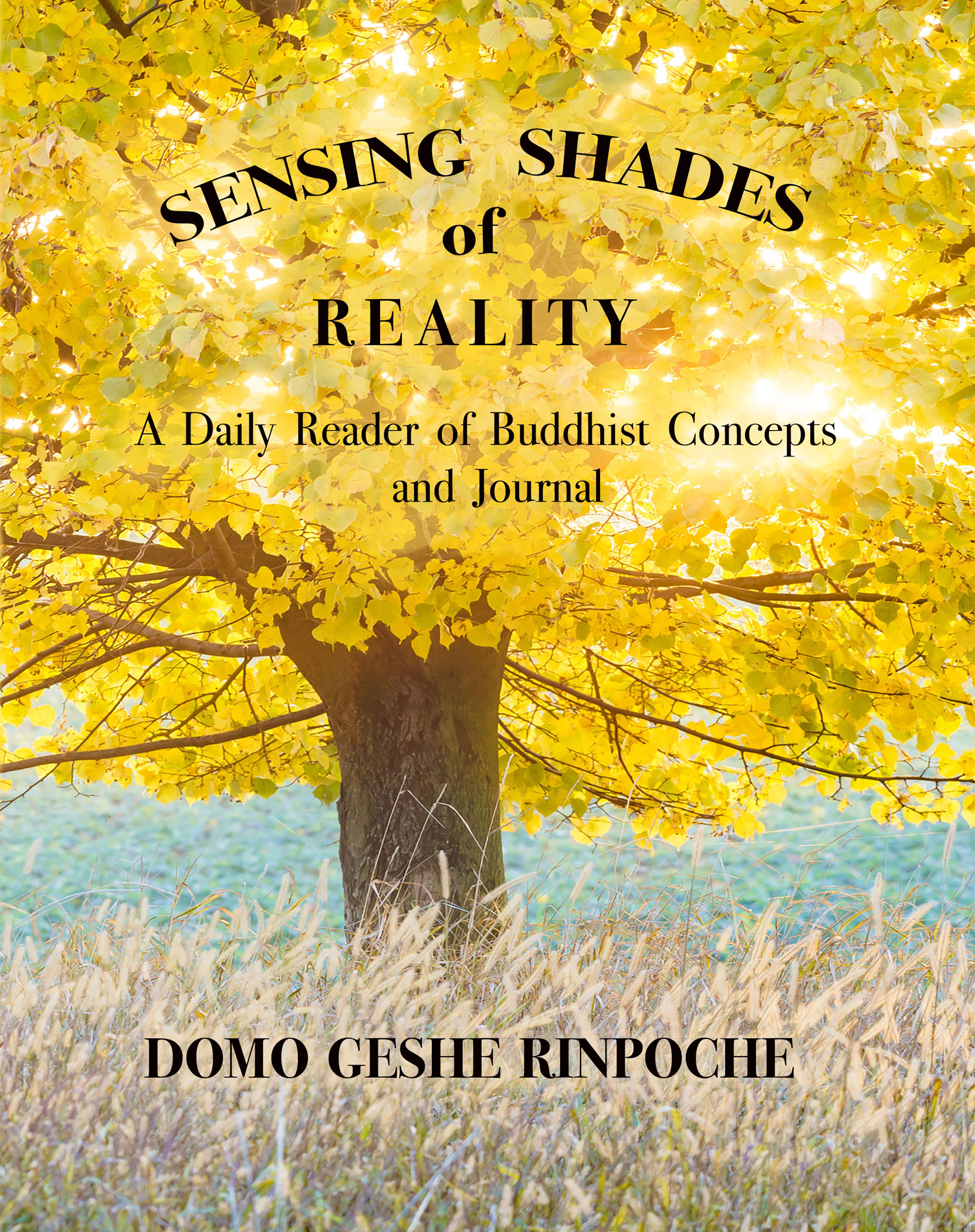 Sensing Shades of Reality ebook
